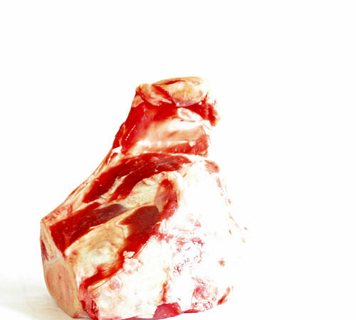 knuckle_bone Raw beef rib bone with marbled meat, ideal for slow cooking or roasting.
